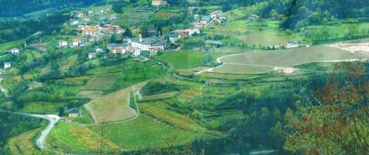 Azienda Agricola a Trento