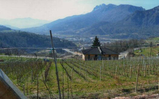 Azienda Agricola a Trento
