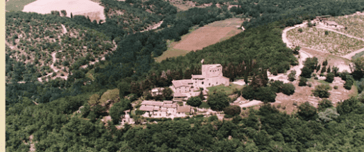 Azienda agricola a 1 Km dalla piazza di Greve in Chianti