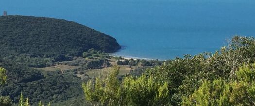 Due Torri di avvistamento in Maremma