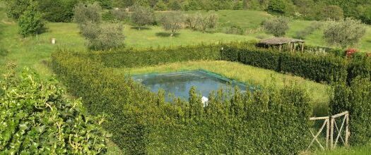Piccola fattoria con casa in pietra e strutture per allevamenti