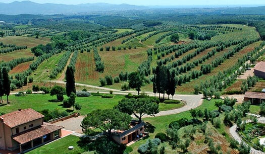 Azienda con 9 appartamenti vista mare