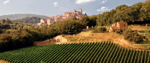 Azienda vitivinicola ORCIA DOC
