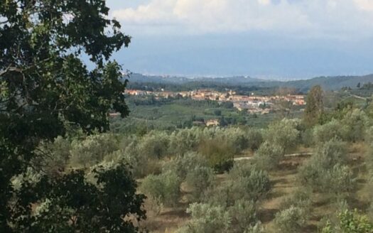 Villa storica adibita a struttura ricettiva