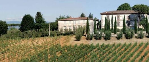 Azienda Agricola del 1500
