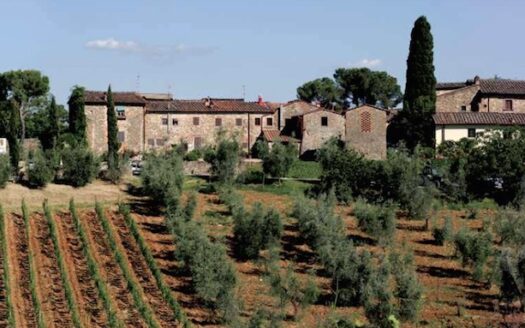 Azienda Agricola del 1500